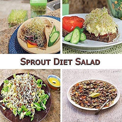 E-COSMOS Sprout Maker with 4 Compartments for Multi Purpose Use - Plastic Grocery Container Sprouted Grains Seeds Dal Channa Chole Ragi Organic Sprouting Jar (500ml,4-Layer)