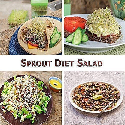 E-COSMOS Sprout Maker with 4 Compartments for Multi Purpose Use - Plastic Grocery Container Sprouted Grains Seeds Dal Channa Chole Ragi Organic Sprouting Jar (500ml,4-Layer)